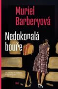 Nedokonalá bouře (e-kniha)