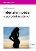 Intenzivní péče v porodní asistenci (e-kniha)