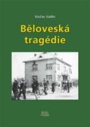 Běloveská tragédie - Příčiny, průběh, následky