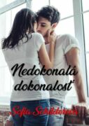 Nedokonalá dokonalosť (e-kniha)