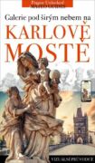 Kdo je kdo na Karlově mostě - Příběhy světců, sochařů a donátorů (e-kniha)