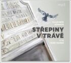 Střepiny v trávě
