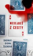 Nesejdeš z cesty (e-kniha)