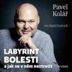 Labyrint bolesti (e-kniha)