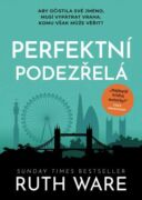 Perfektní podezřelá (e-kniha)