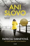 Ani slovo (e-kniha)