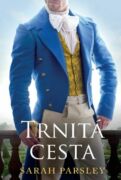 Trnitá cesta (e-kniha)