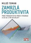 Zamrzlá produktivita (e-kniha)