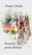 Ponožky pred odletom (e-kniha)