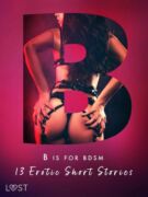 B is for BDSM: 13 Erotic Short Stories (e-kniha)