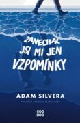 Zanechal jsi mi jen vzpomínky (e-kniha)