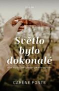 Světlo bylo dokonalé (e-kniha)