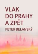 Vlak do Prahy a zpět (e-kniha)